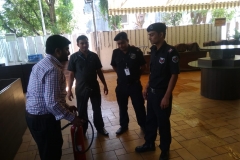 Explaining team about performing task