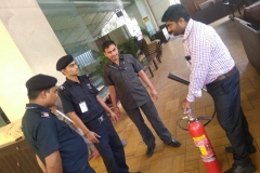 Explaining team about performing task